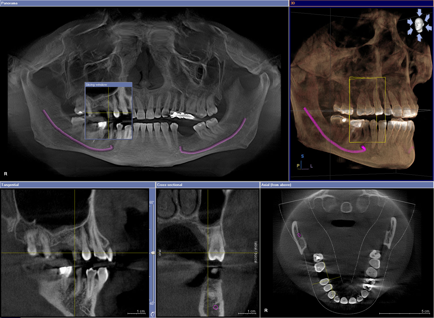 Diagnostic Images